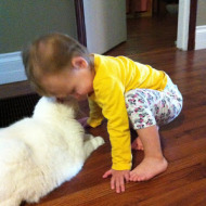 Wordless Wednesday: I just wanna cuddle…