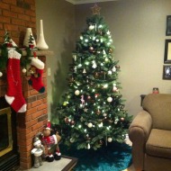 #WordlessWednesday: Oh, Christmas Tree!