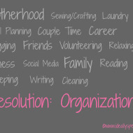 2013 Resolution: Organization.